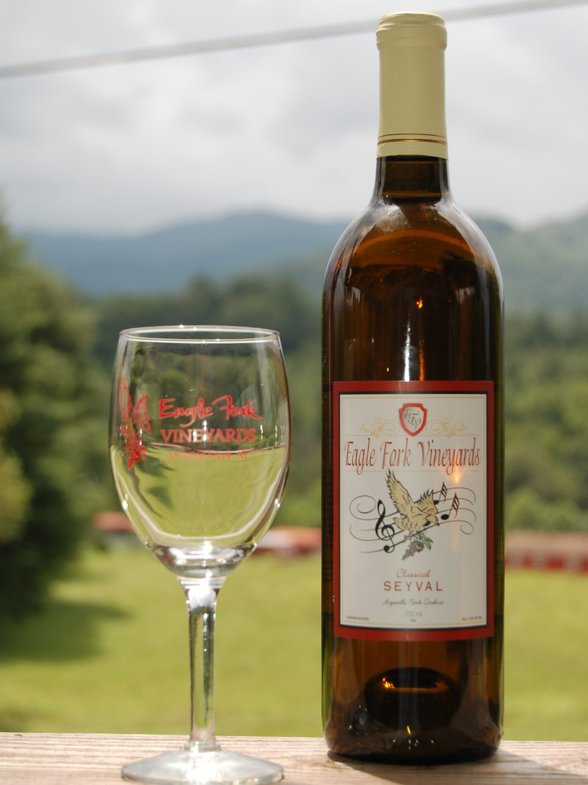Our Sevyal is medium bodied wine with delightful aromas of apricots, nectarines and citrus. It goes well with tangy cheese, salads, and fish.